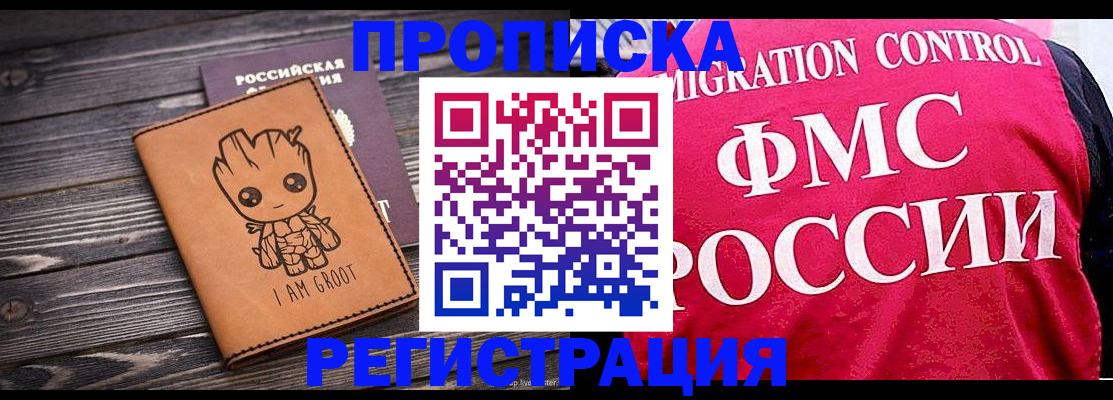 прописка 2025 в Шумихе